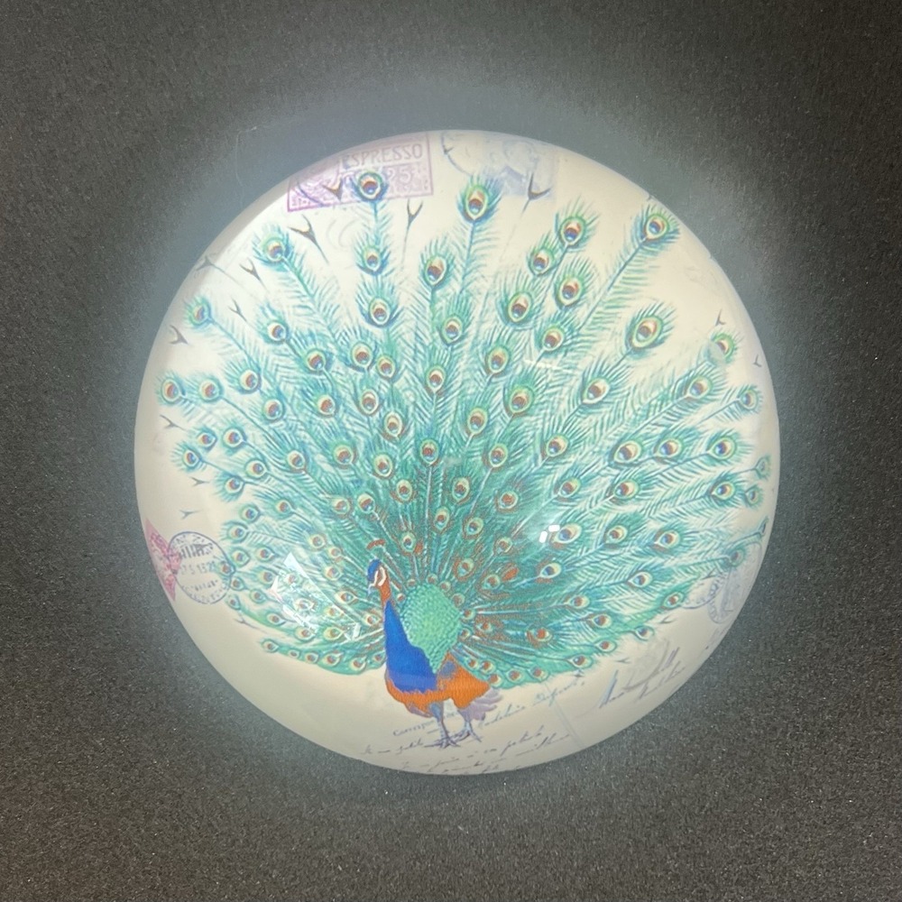 Pier 1 Paperweight Domed Clear Glass Peacock Postcard 3 7/8" Round.
